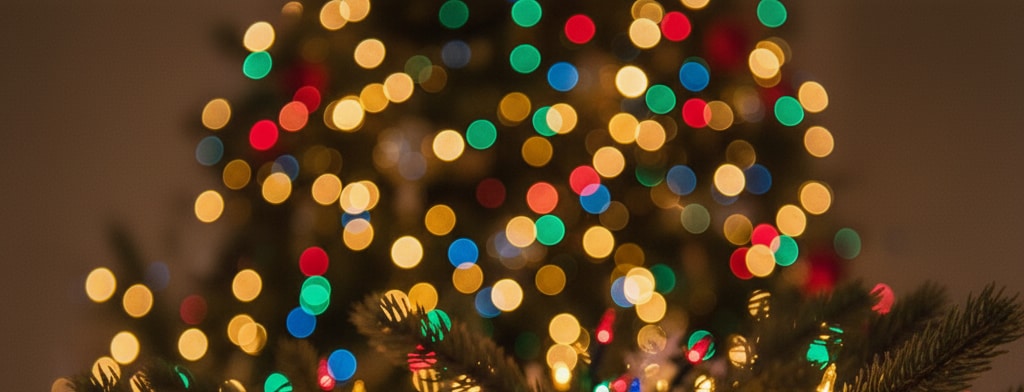 bokeh christmas lights DC